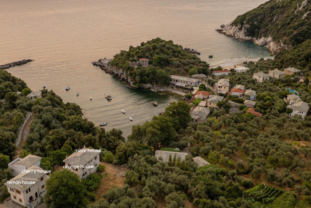 Olive House In Damouchari With A Sea View - Delicious Houses Exterior foto